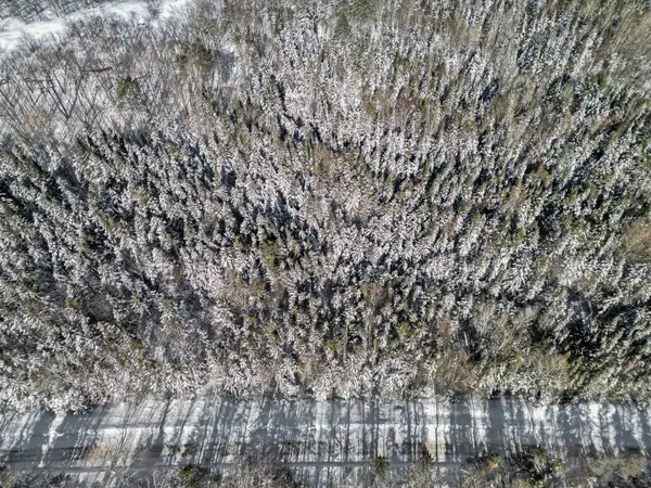 LOT 3 STONEY RD, Armour, ON P0A 1C0