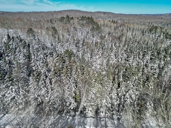 LOT 3 STONEY RD, Armour, ON P0A 1C0