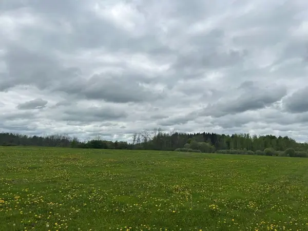 4374 Lords Mills RD, Augusta, ON K0E 1T0