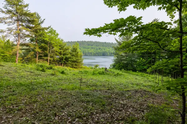 1225 Barrett Chute RD, Greater Madawaska, ON K0J 1H0