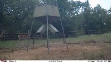 TBD US 380 Highway, Jacksboro, TX 76458