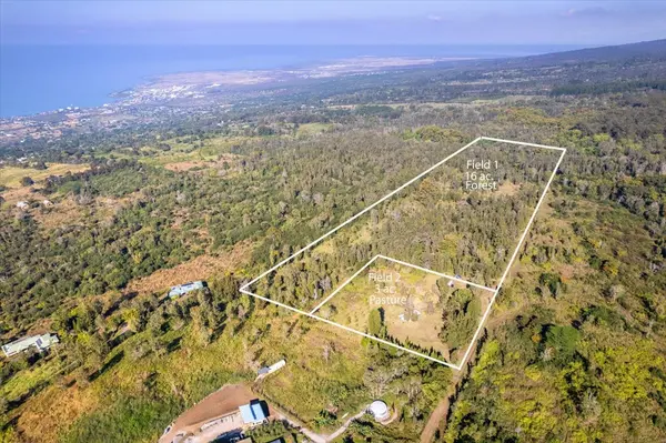 76-1285 WAIONO RANCH RD, Holualoa, HI 96725