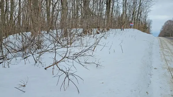 207 Goodfellow RD, Brighton, ON K0K 1R0