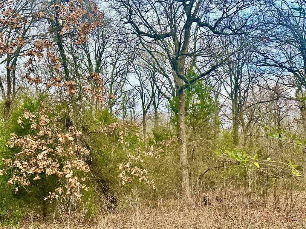 0 Daniel Boone Lane, Log Cabin, TX 75148