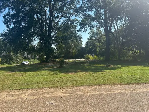 1011 Lee Street, Minden, LA 71055