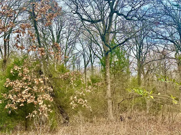 0 Daniel Boone Lane,  Log Cabin,  TX 75148