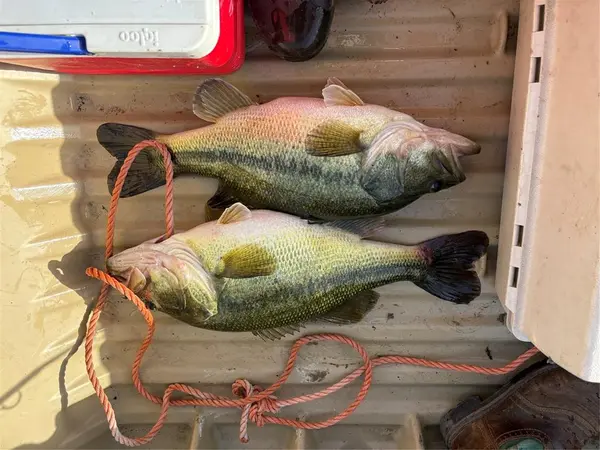 TBD FM 2114, Clifton, TX 76634