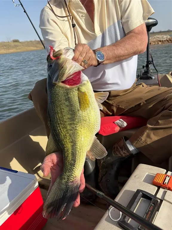 TBD FM 2114, Clifton, TX 76634