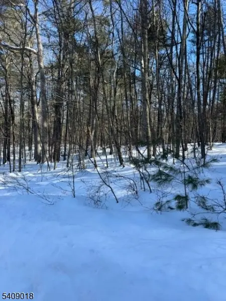 00 Martha St, Sandyston Twp., NJ 07826