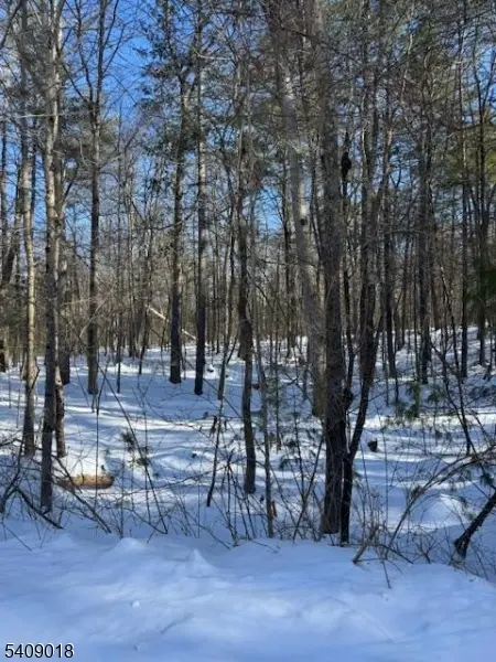 00 Martha St, Sandyston Twp., NJ 07826