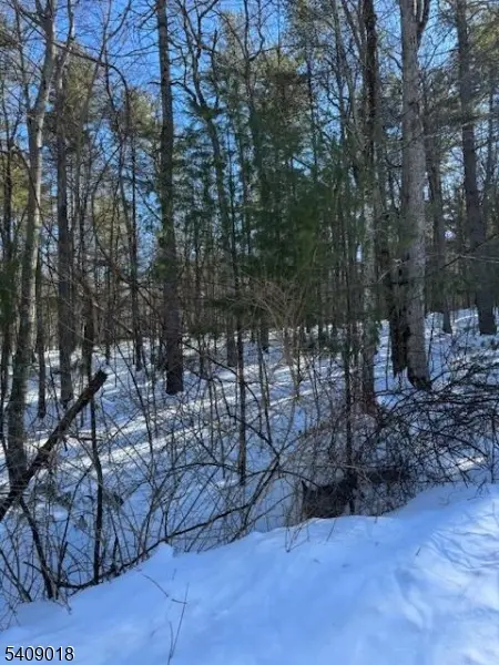 00 Martha St, Sandyston Twp., NJ 07826