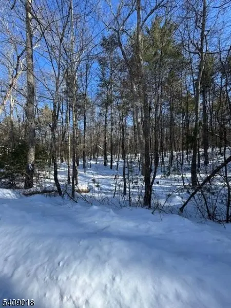 00 Martha St, Sandyston Twp., NJ 07826