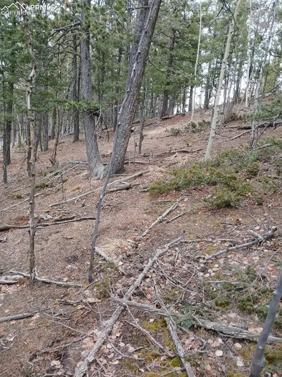 495 Wakanda TRL, Woodland Park, CO 80863