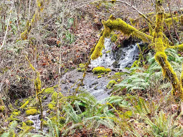 Mc Kenzie Bridge, OR 97413,E King RD