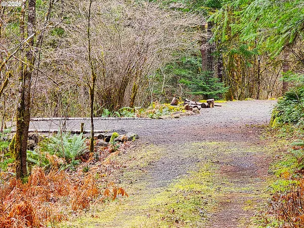 Mc Kenzie Bridge, OR 97413,E King RD