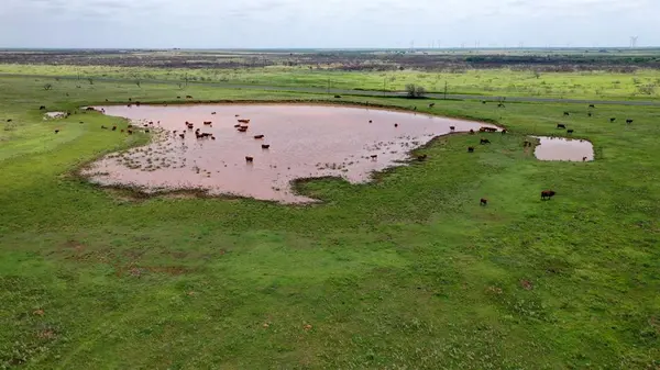 Archer City, TX 76374,TBD State HWY 79