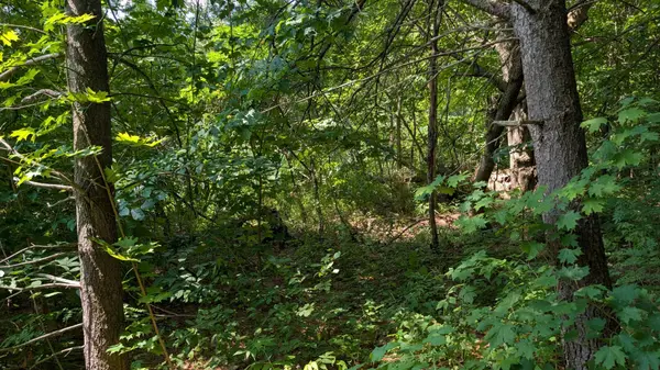 206 VEL-DOR CRES, Bracebridge, ON P1L 1J4