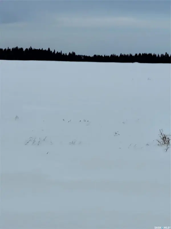 Rural Address, Spiritwood Rm No. 496, SK S0J 2M0