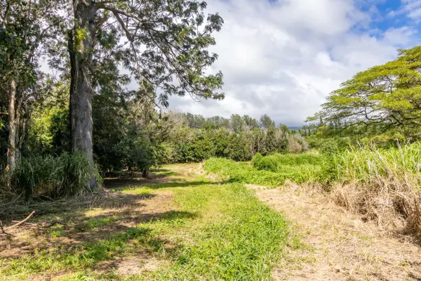 96-2865 WOOD VALLEY RD, Pahala, HI 96777