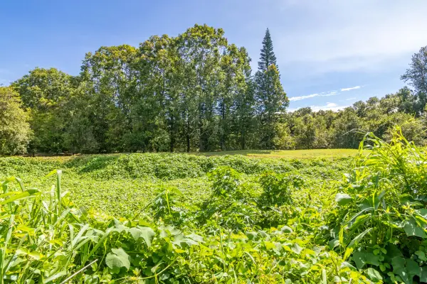 96-2865 WOOD VALLEY RD, Pahala, HI 96777