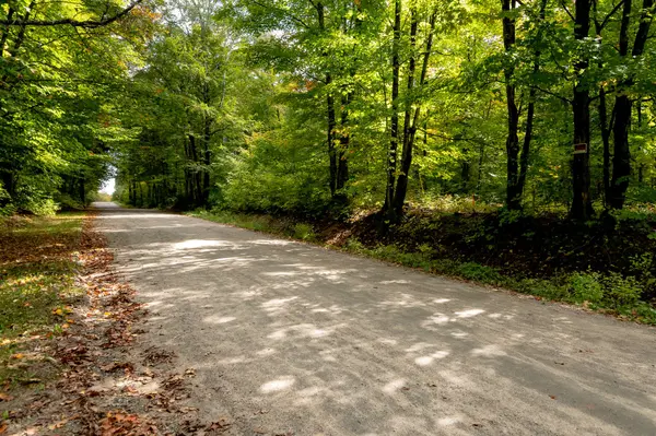 N/A Skyline DR, Armour, ON P0A 1C0