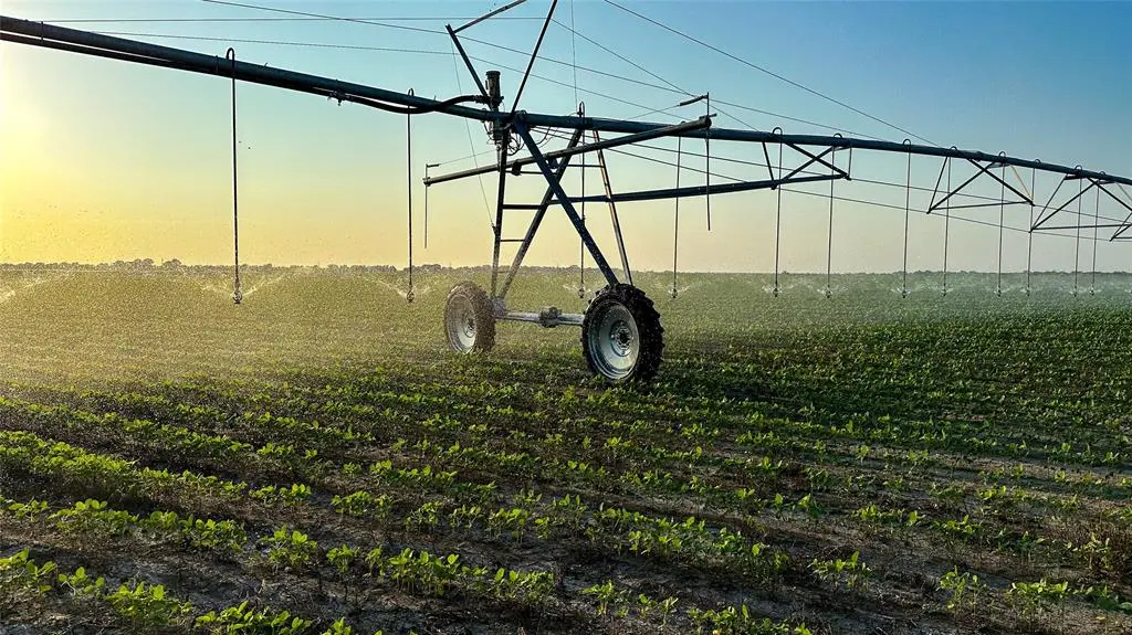 00 FM 909, Clarksville, TX 75426