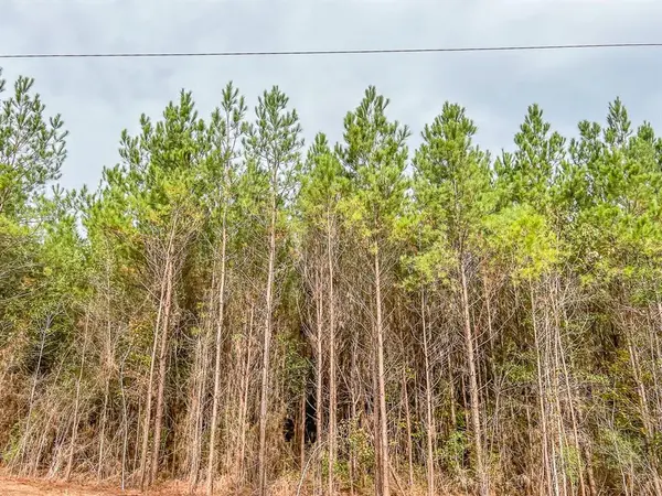 013 CR 2307, Cleveland, TX 77327