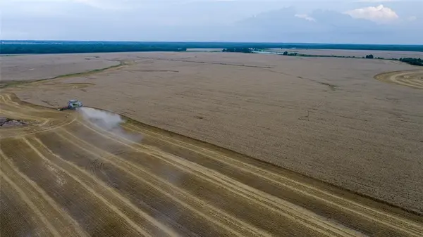 00 FM 909, Clarksville, TX 75426