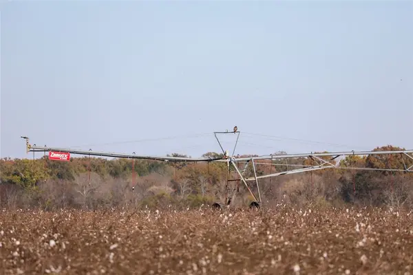 00 FM 909, Clarksville, TX 75426