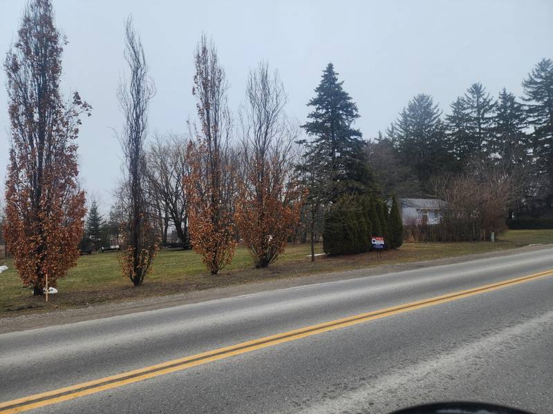 42420 JOHN WISE Line, Central Elgin, ON N5R 5T5