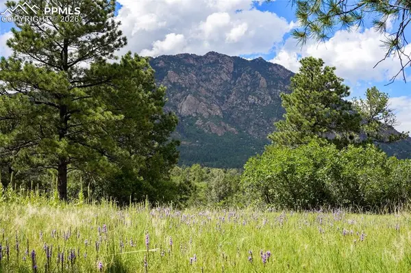 325 Pine Oaks RD, Colorado Springs, CO 80926