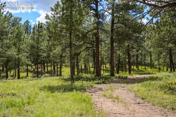 325 Pine Oaks RD, Colorado Springs, CO 80926