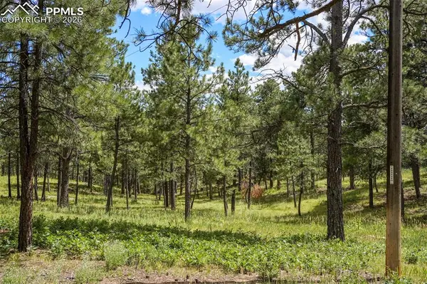 325 Pine Oaks RD, Colorado Springs, CO 80926