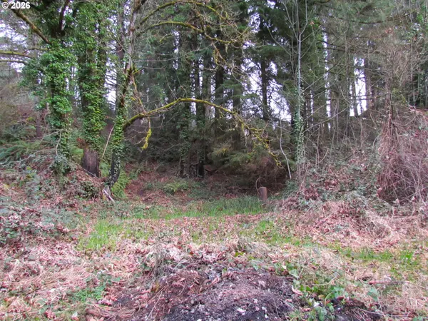 31191 NEW KIRK RD, Scappoose, OR 97056