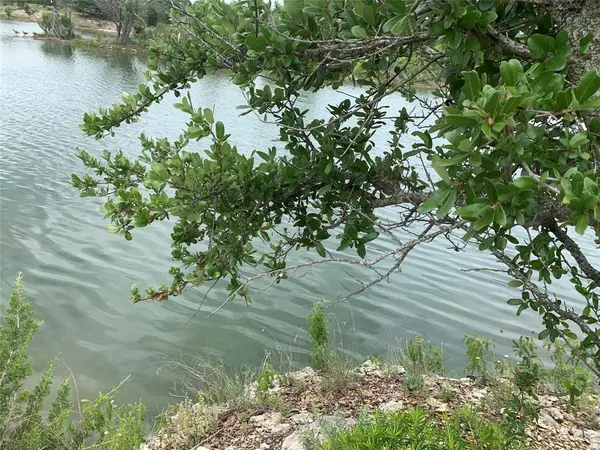 000 Anglers Point, Bluff Dale, TX 76433