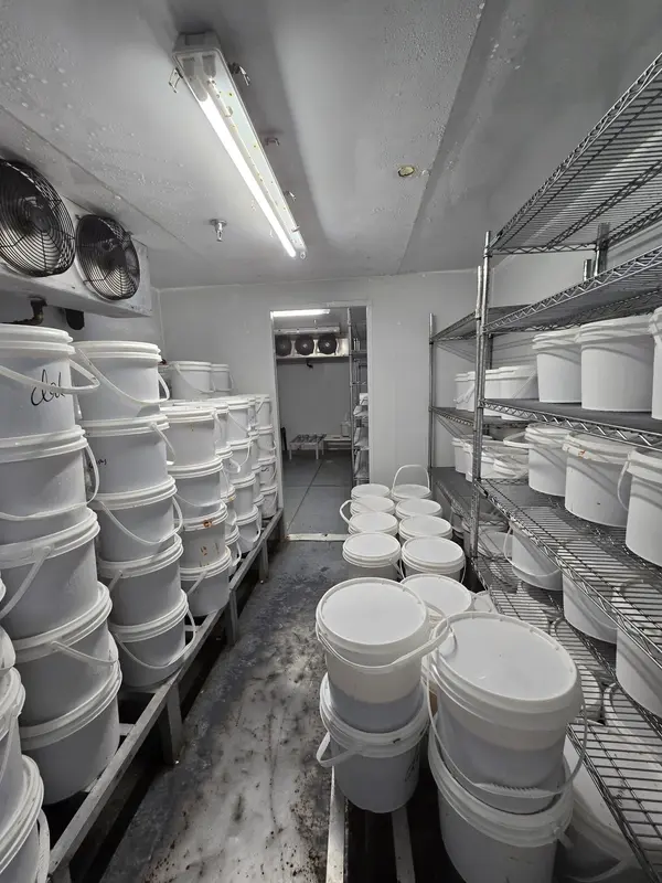 6905 Millcreek DR #1, Mississauga, ON L5N 6A3