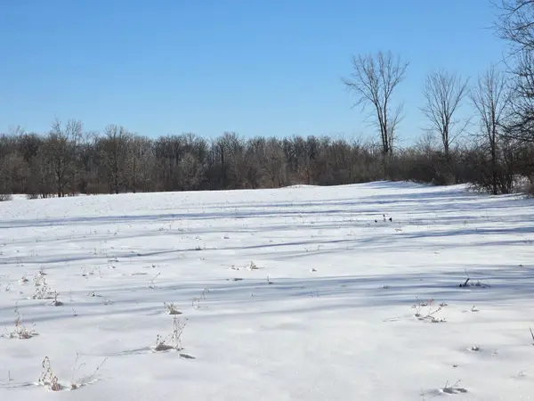 0 Hoards Church RD, Trent Hills, ON K0L 1L0