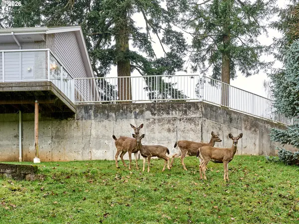 Silverton, OR 97381,301 EDGEWOOD DR