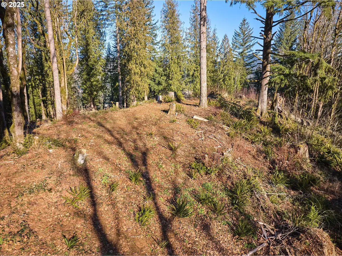 452 WILDLIFE DR, Washougal, WA 98671