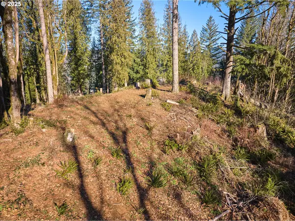 452 WILDLIFE DR, Washougal, WA 98671