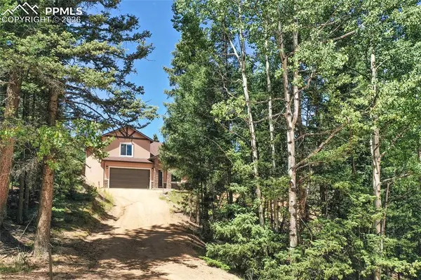 71 Mt Elbert DR, Florissant, CO 80816