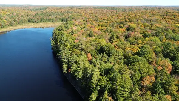 LOT 9 & 10 CONCESSION 5 N/A, Lake Of Bays, ON P0B 1A0