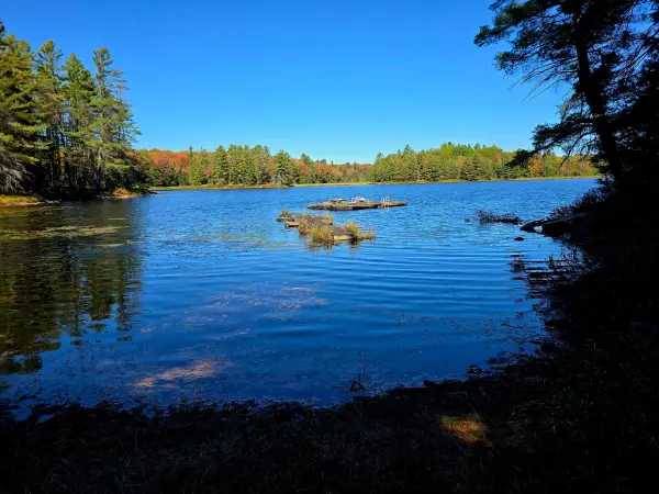 LOT 9 & 10 CONCESSION 5 N/A, Lake Of Bays, ON P0B 1A0