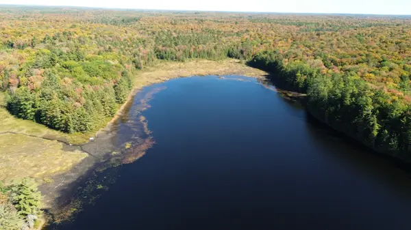 LOT 9 & 10 CONCESSION 5 N/A, Lake Of Bays, ON P0B 1A0