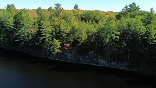 LOT 9 & 10 CONCESSION 5 N/A, Lake Of Bays, ON P0B 1A0