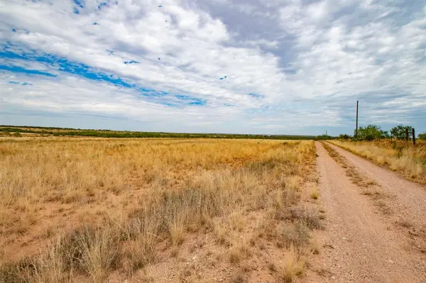 3108 CR 125, Colorado City, TX 79512