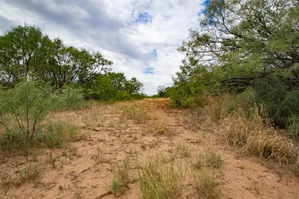 3108 CR 125, Colorado City, TX 79512