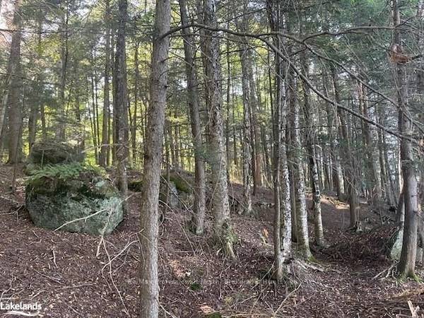 4 STONE GATE LN, Bracebridge, ON P1L 1X3