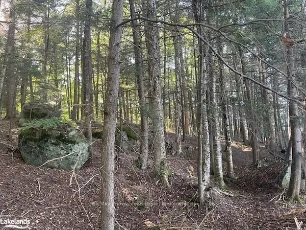 4 STONE GATE LN, Bracebridge, ON P1L 1X3