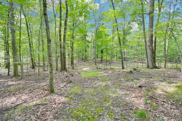 51 Paulinskill Lake Rd, Fredon Twp., NJ 07860